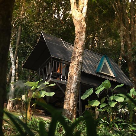 Garden Of Eden-Thottam Munnar-Hiking And Camping Anachal Exterior photo