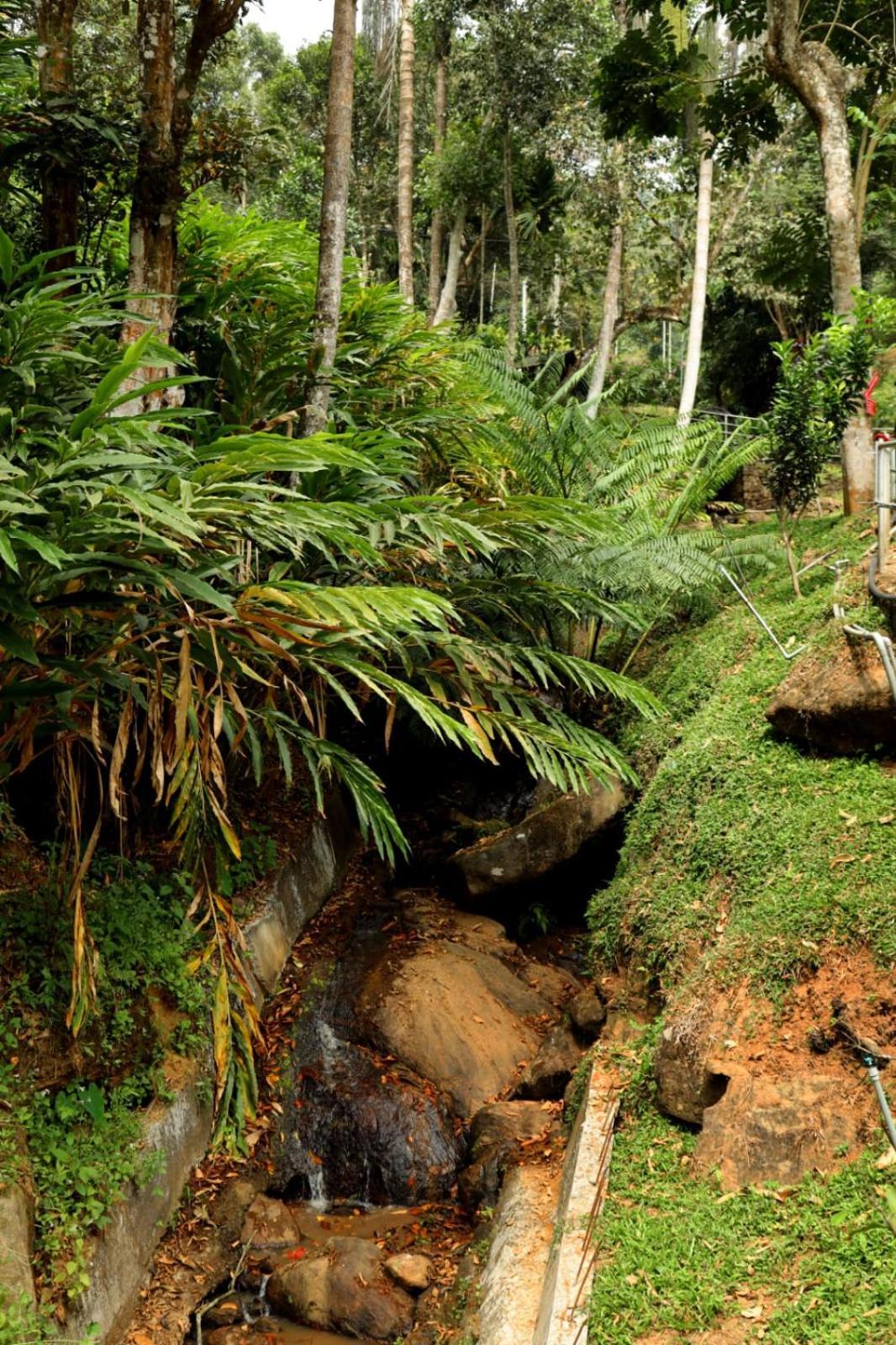 Garden Of Eden-Thottam Munnar-Hiking And Camping Anachal Exterior photo