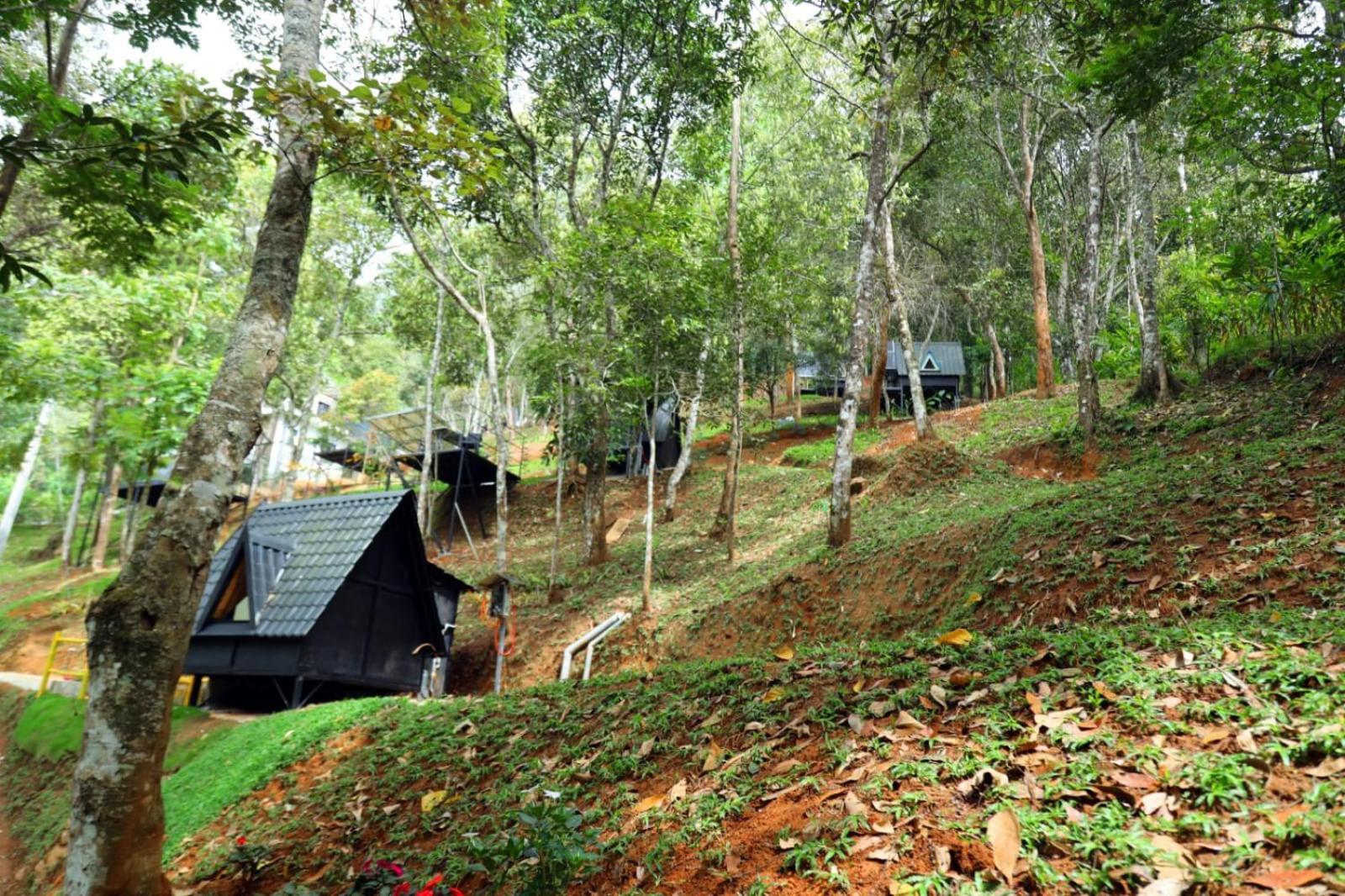 Garden Of Eden-Thottam Munnar-Hiking And Camping Anachal Exterior photo
