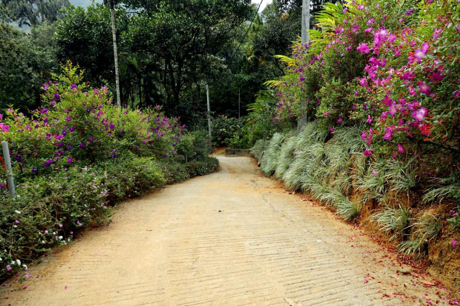 Garden Of Eden-Thottam Munnar-Hiking And Camping Anachal Exterior photo