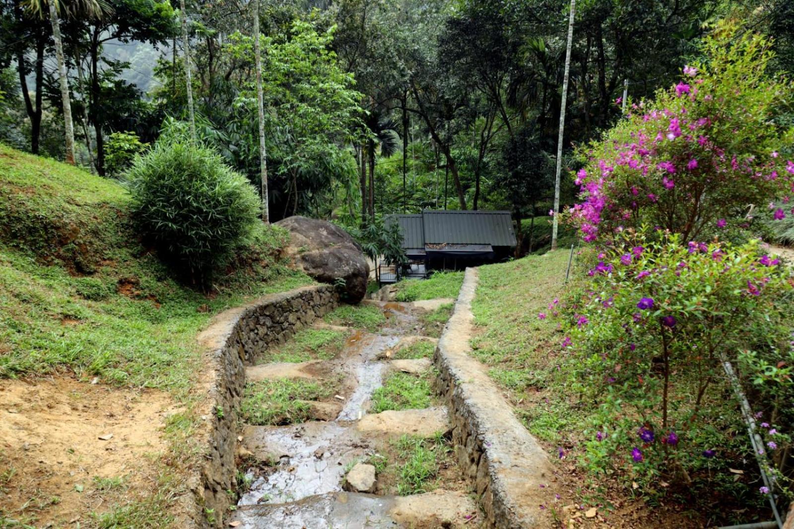 Garden Of Eden-Thottam Munnar-Hiking And Camping Anachal Exterior photo