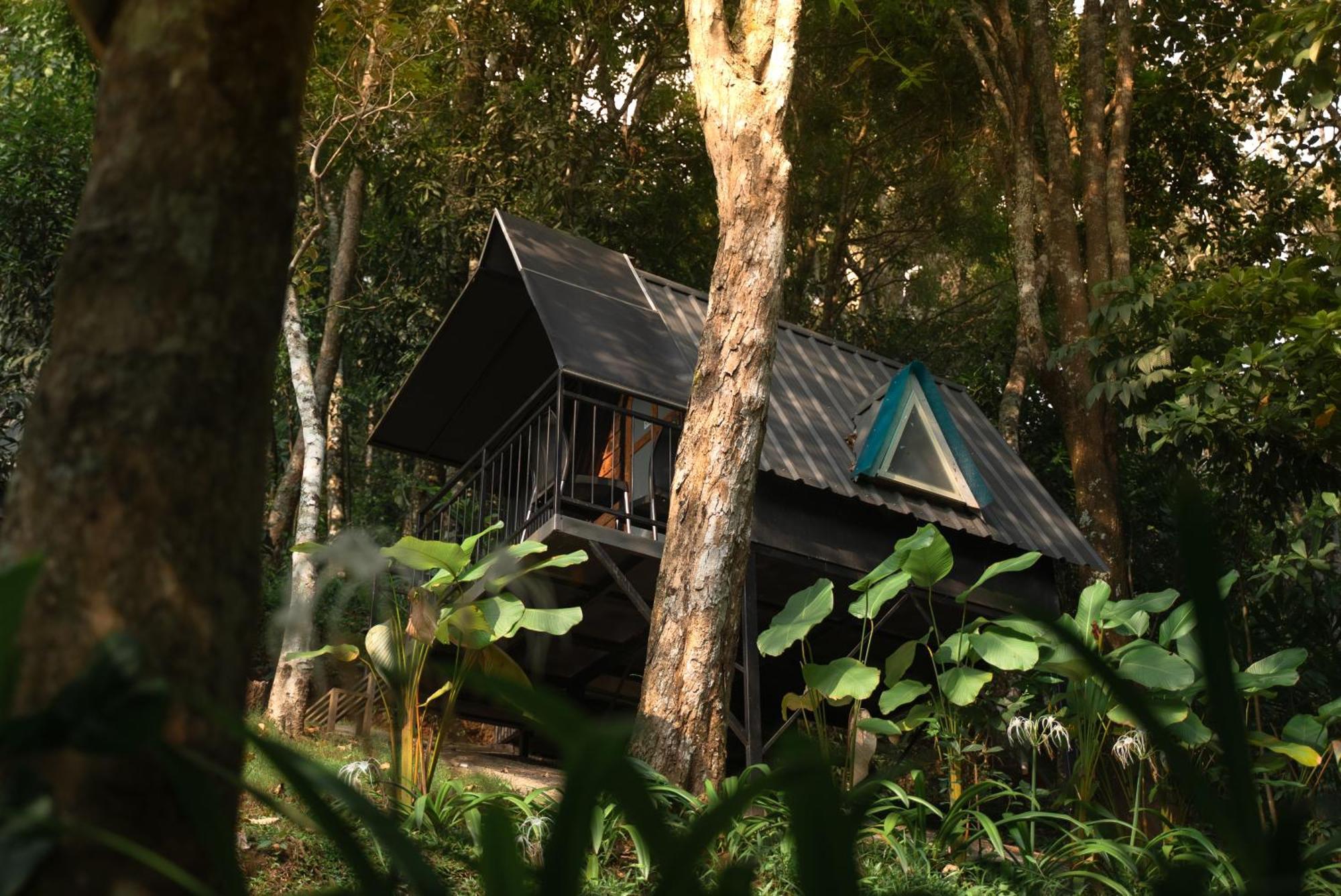 Garden Of Eden-Thottam Munnar-Hiking And Camping Anachal Exterior photo