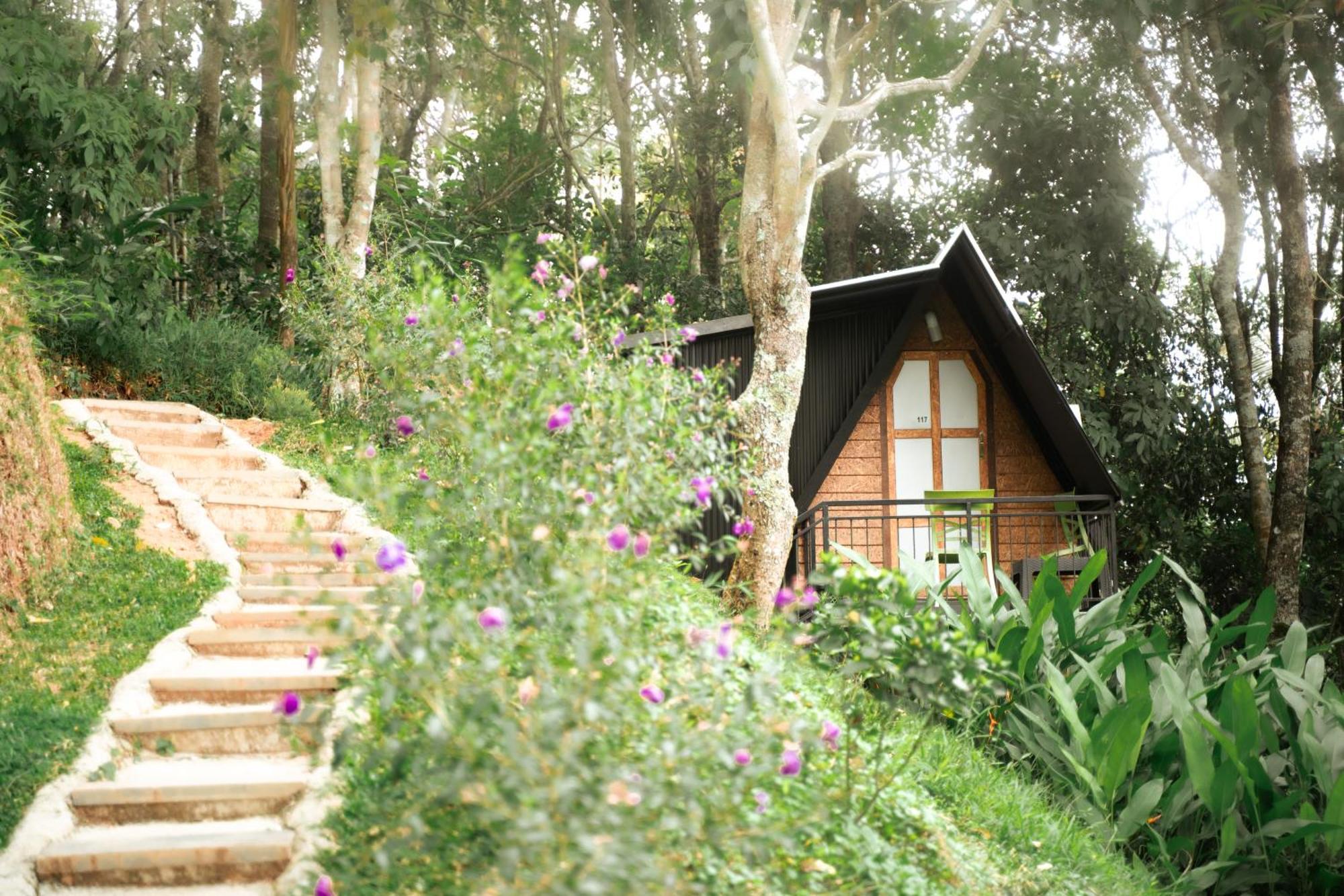 Garden Of Eden-Thottam Munnar-Hiking And Camping Anachal Exterior photo