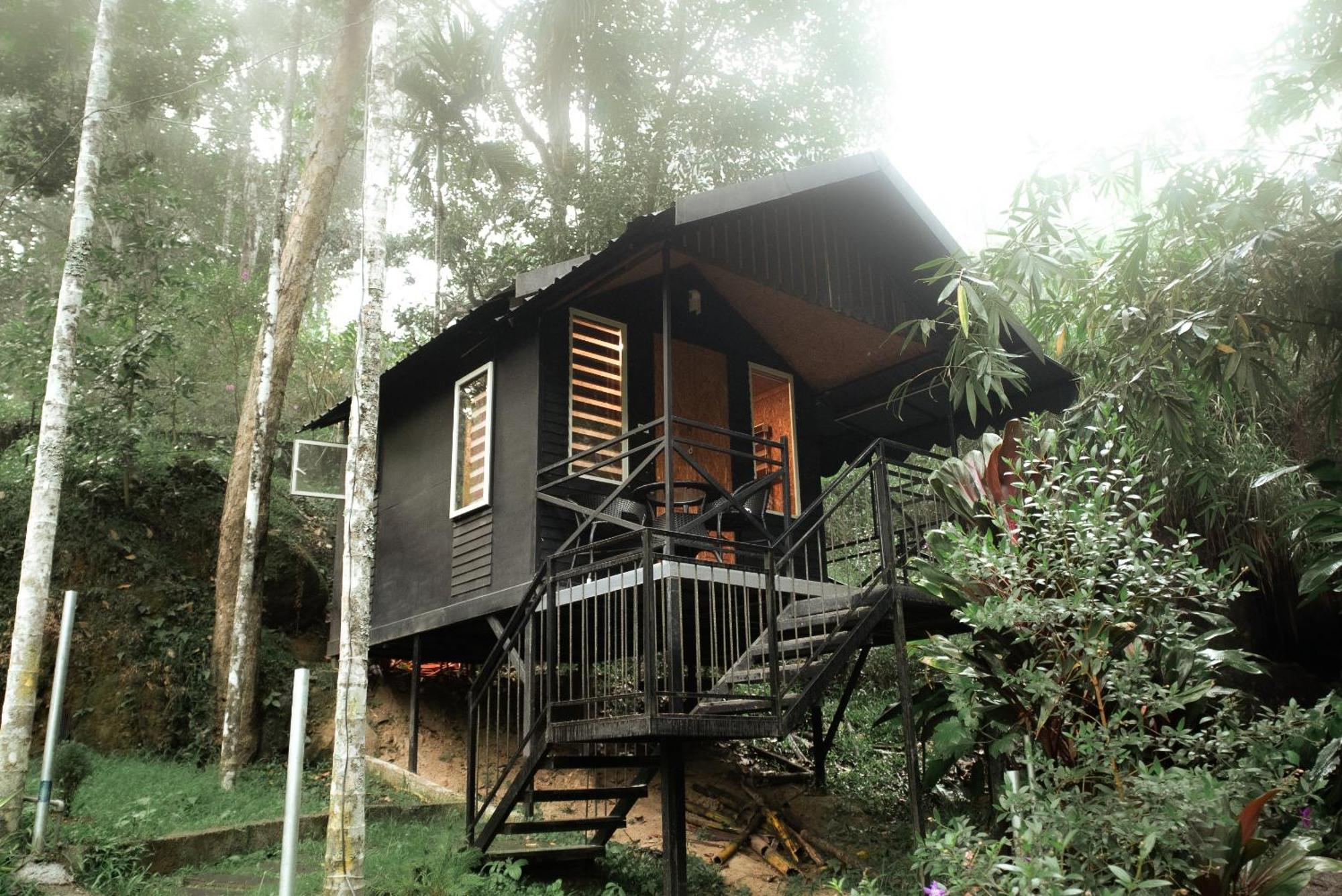 Garden Of Eden-Thottam Munnar-Hiking And Camping Anachal Exterior photo