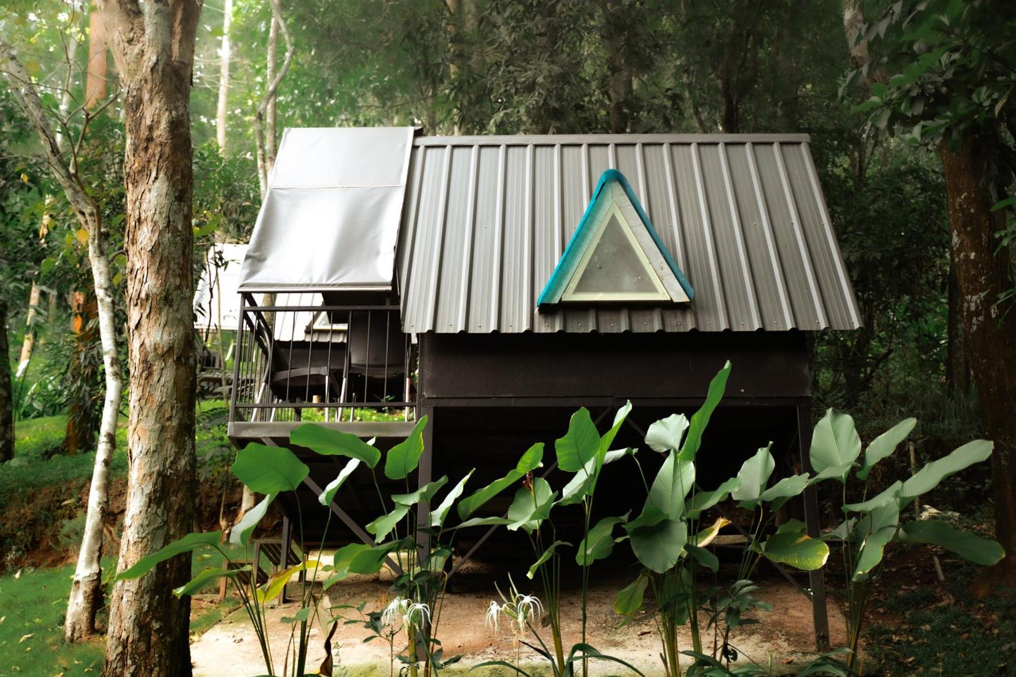 Garden Of Eden-Thottam Munnar-Hiking And Camping Anachal Exterior photo